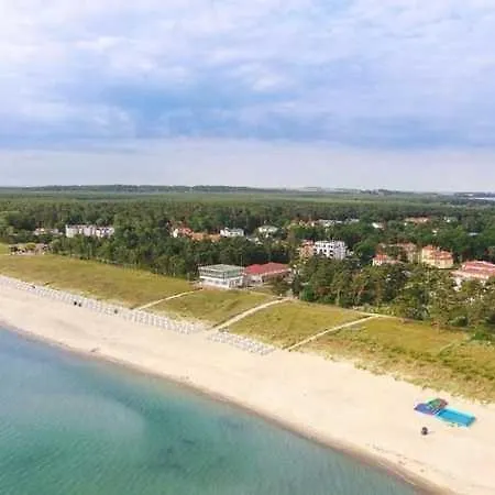 Seemöwe Rügen