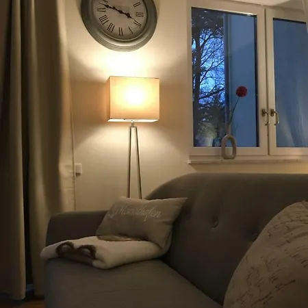 Seemöwe Rügen